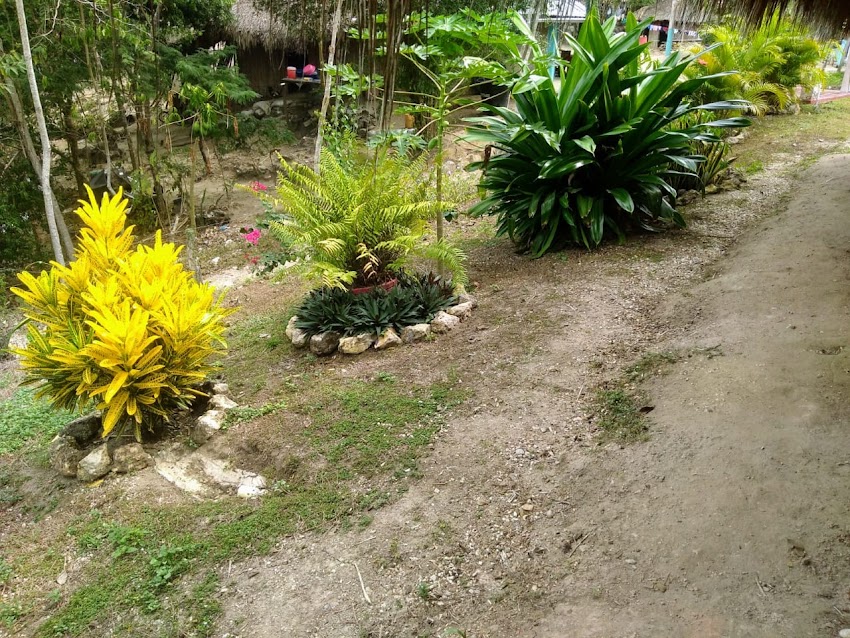LONJA DE PROPIEDAD RAÍZ DE ANTIOQUIA