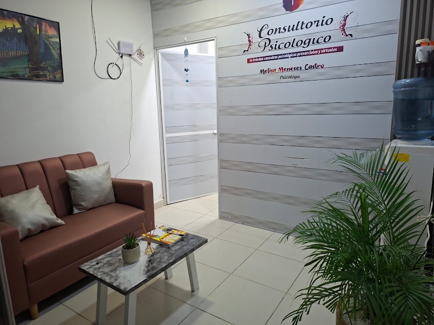Consultorio Psicologico Melisa Meneses Castro
