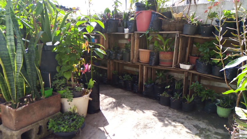 Colectivo Agroambiental SembrAndo