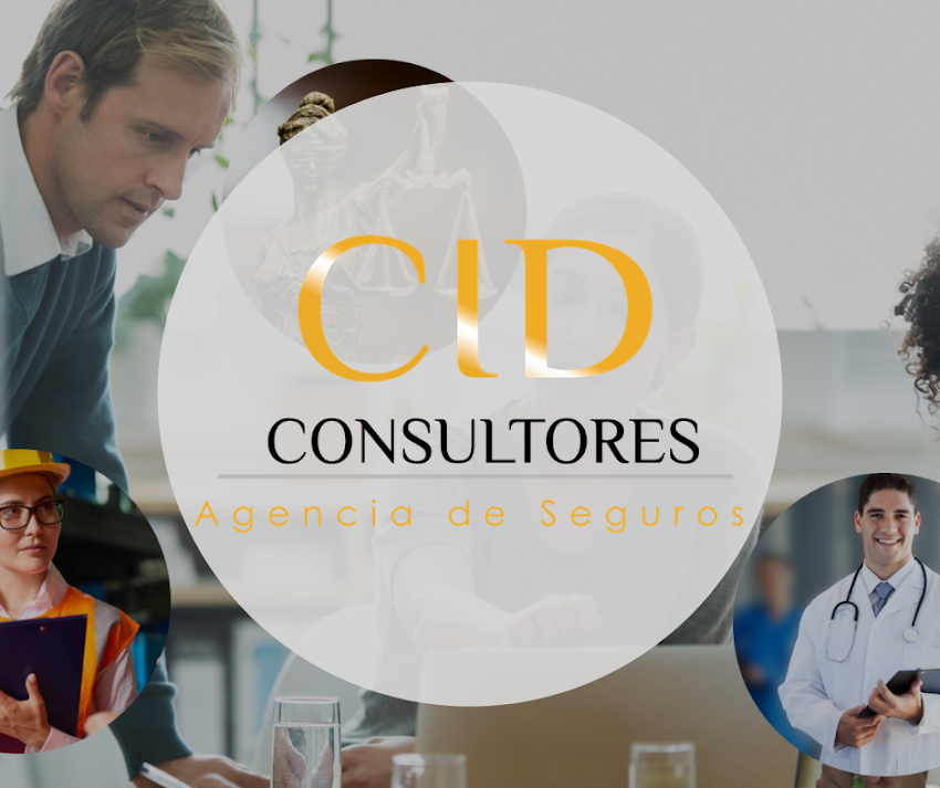 CID Consultores Ltda.