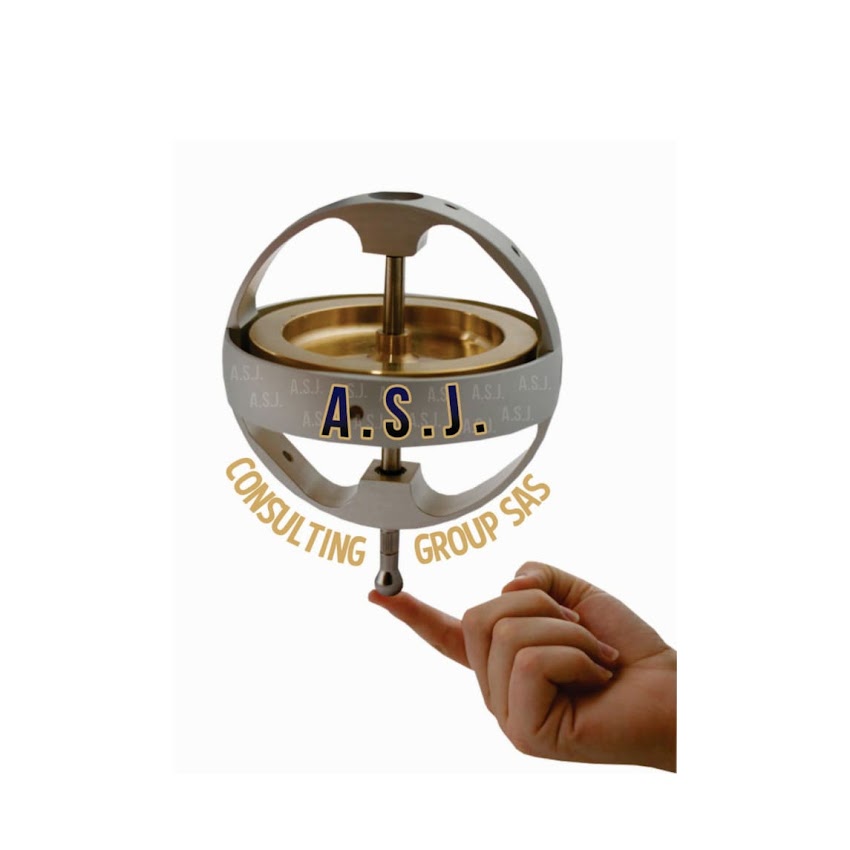 ASJ CONSULTING GROUP SAS