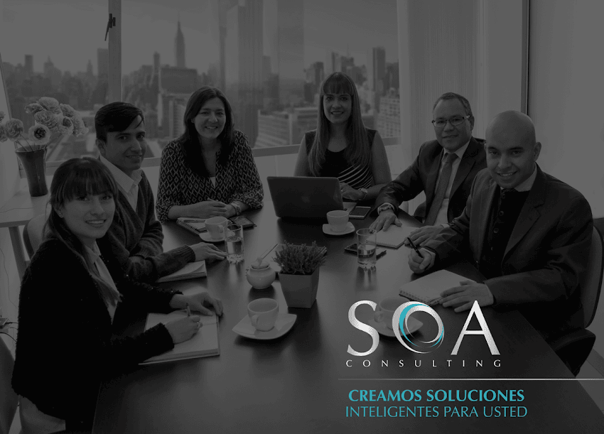 SOA Consulting world