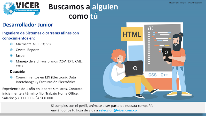 Vicer Solutions