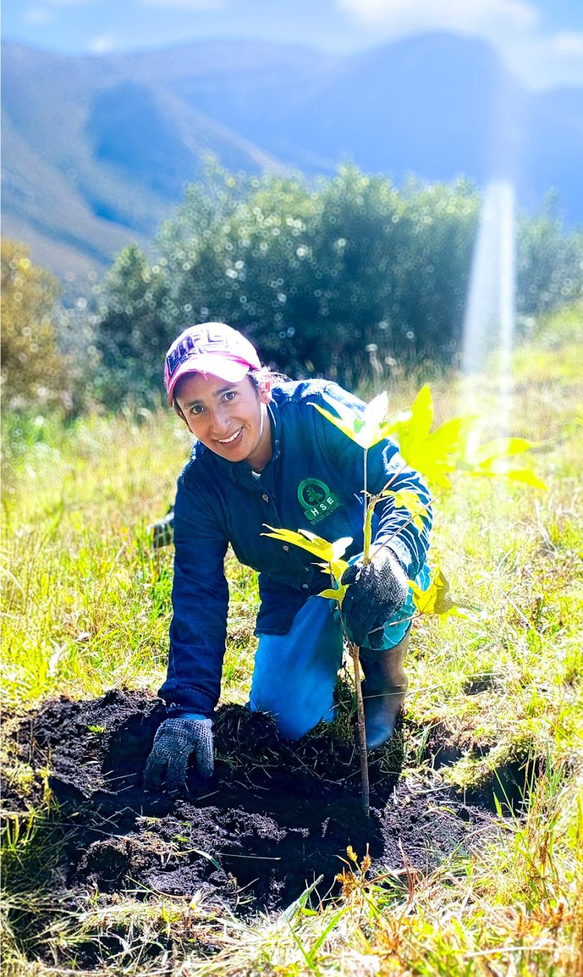 HSE COLOMBIA – CONSULTORA AMBIENTAL Y SST