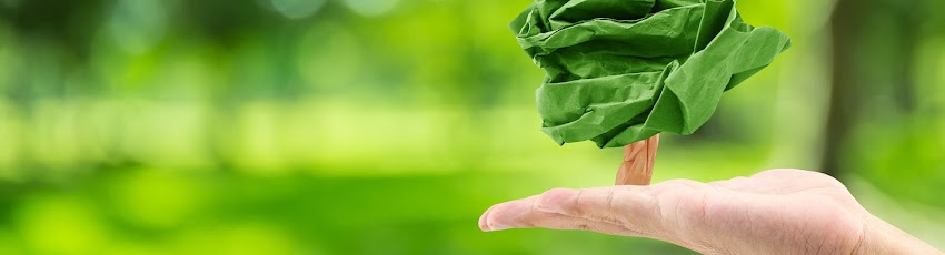 Consultoria SGSST y Ambiental – Amet Soluciones