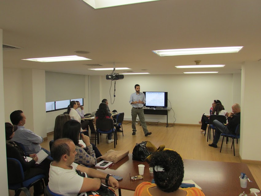 GO PROJECTS Consulting