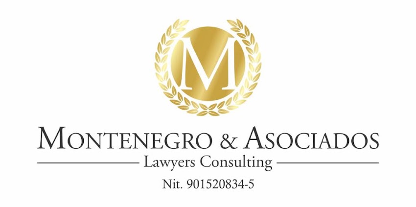 Montenegro & asociados lawyer consulting S.A.S