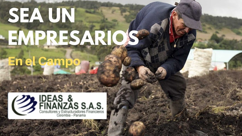 I & F GLOBAL S.A.S