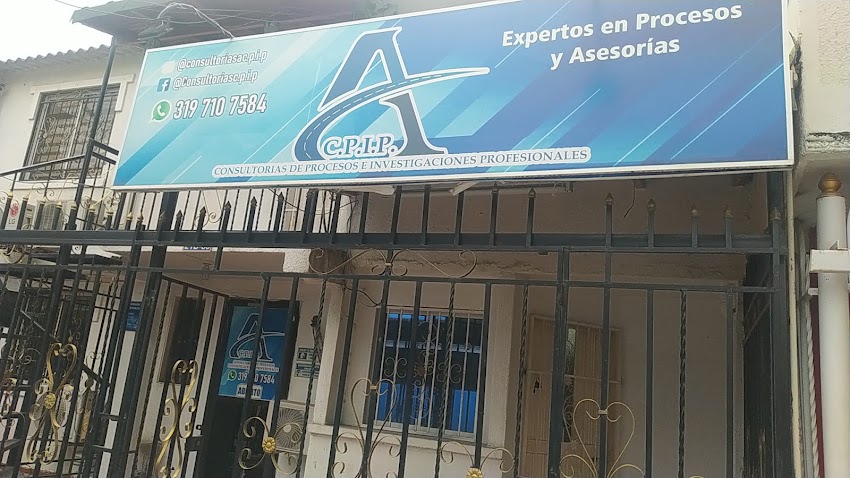 CONSULTORIAS ACPIP