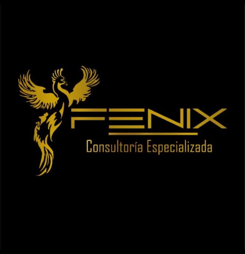 FENIX CONSULTORIA ESPECIALIZADA