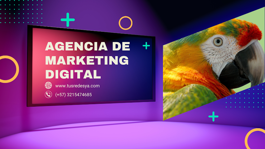 TRY Marketing Medellín
