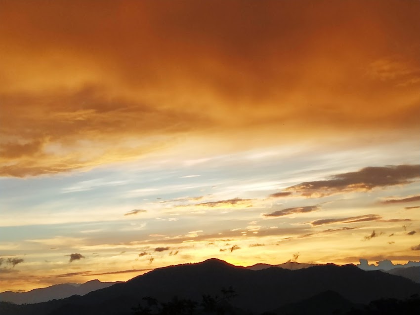 Su Finca Raíz