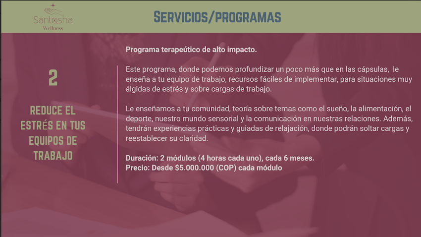 Santosha Wellness Corporate | Bienestar Empresarial