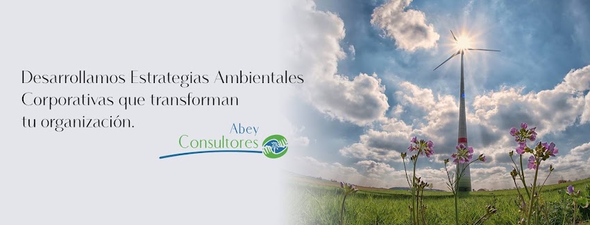 Abey Consultores S.A.S