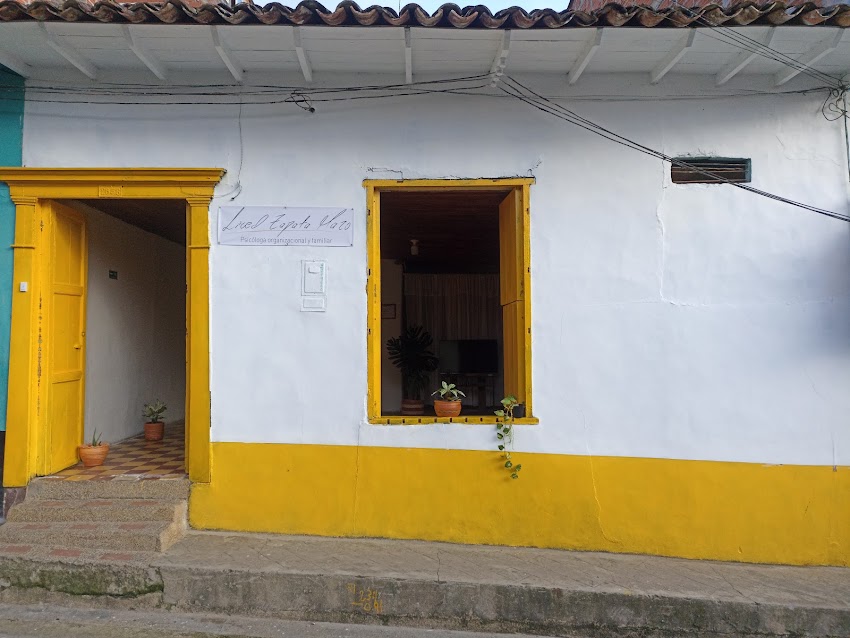 Liced Zapata Mazo – Consultorio psicológico