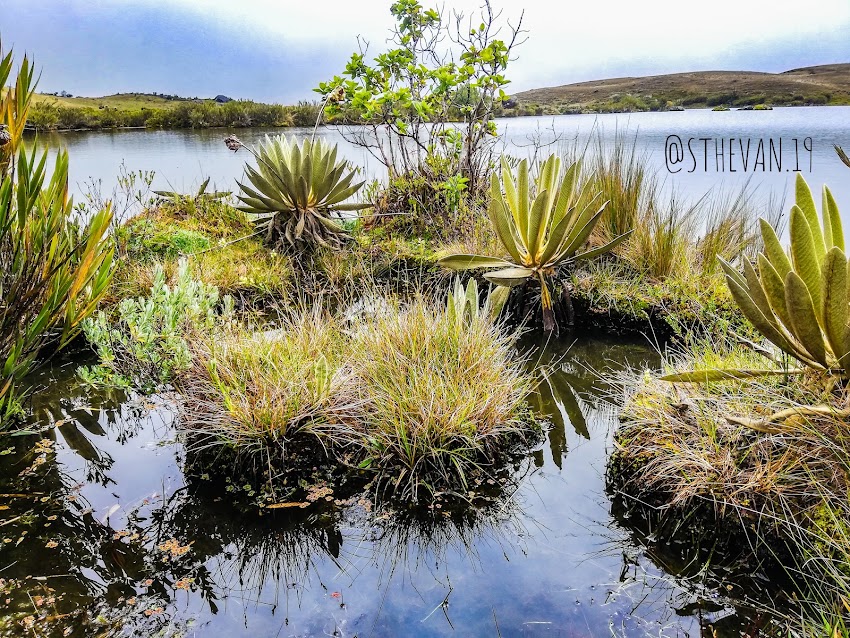 Laguna De Los Patos Socota