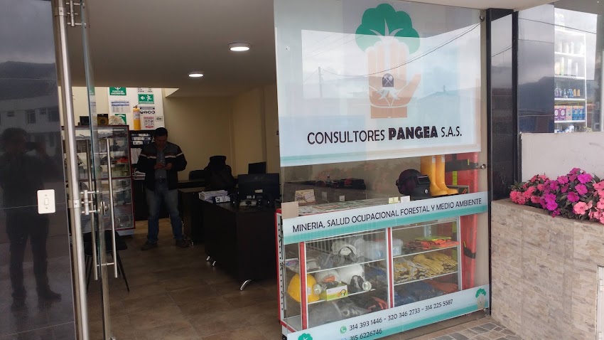 Consultores Pangea S.A.S.