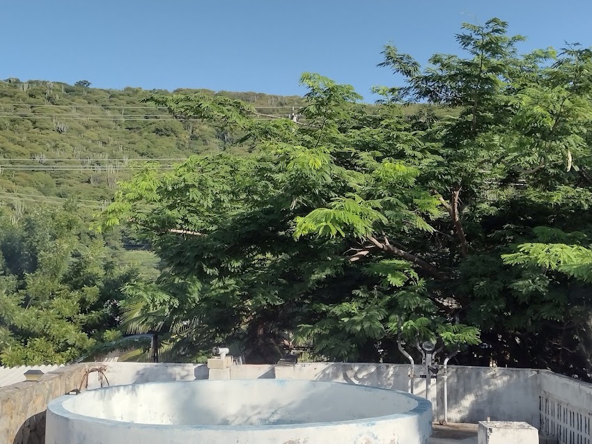 Oasis de Sierrapalma Ltda.
